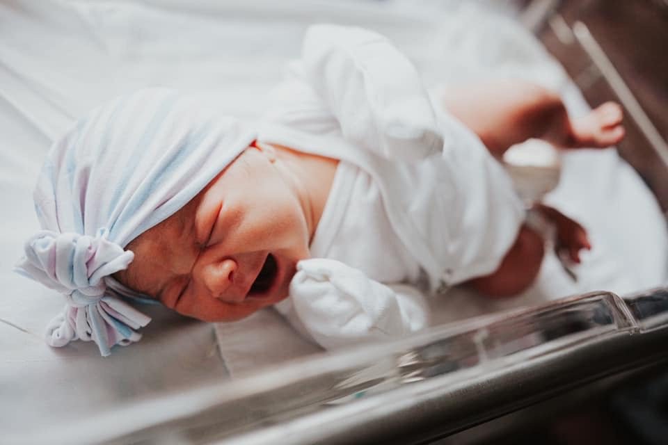 Hospital | NEW Pink & Blue Stripe | Classic Headwrap - Bunny Knots