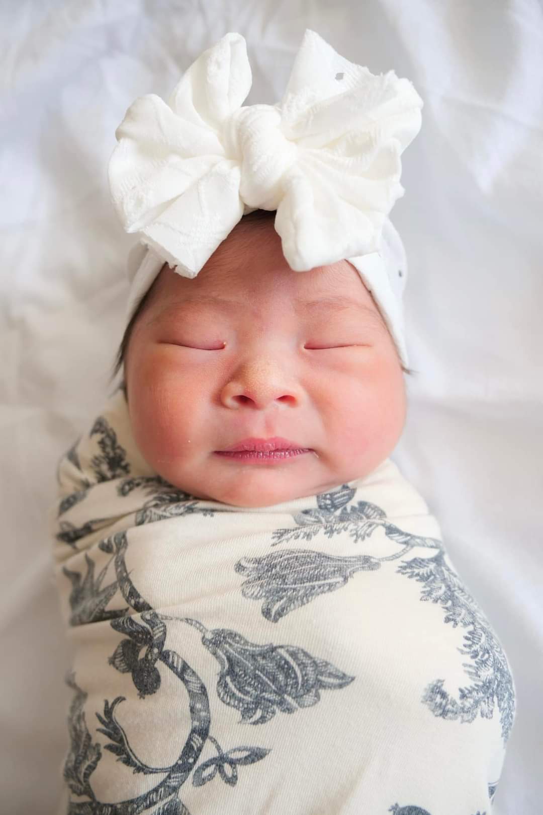 Halo | Creamery White | Eyelet Headwrap