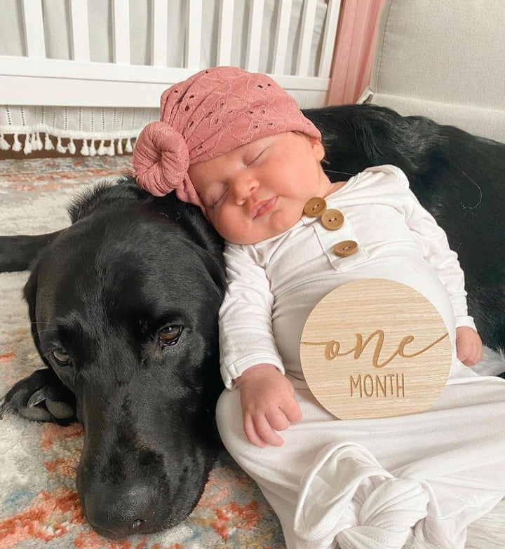 Ava | Rogue Pink | Eyelet Headwrap - Bunny Knots