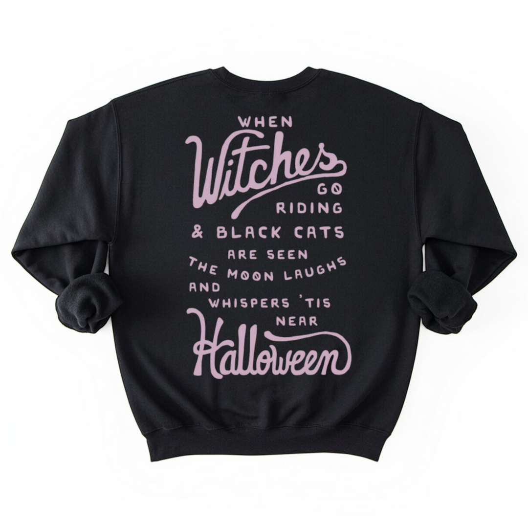 When Witches Go Riding Sweatshirt