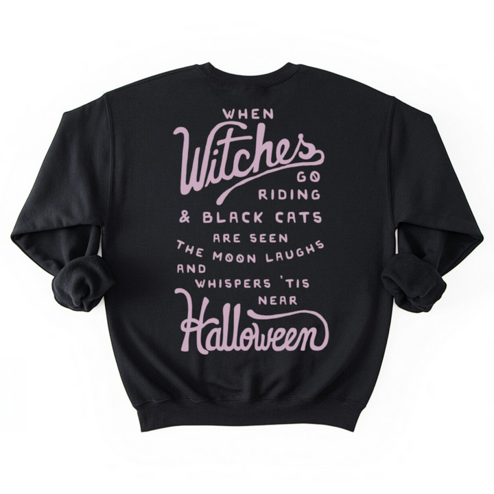 When Witches Go Riding Sweatshirt