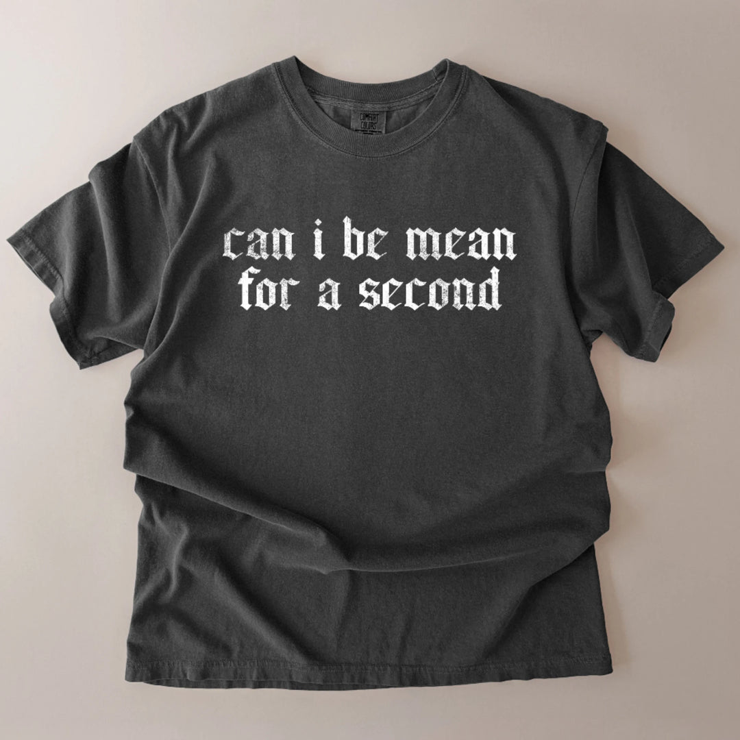Can I Be Mean For A Second T-Shirt