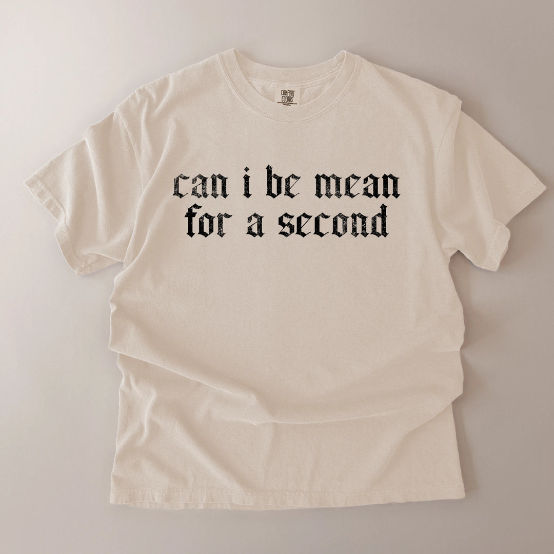 Can I Be Mean For A Second T-Shirt