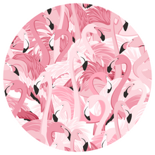 Load image into Gallery viewer, Flamingo Starr | Bamboo Short Sleeve Zippy Short Romper
